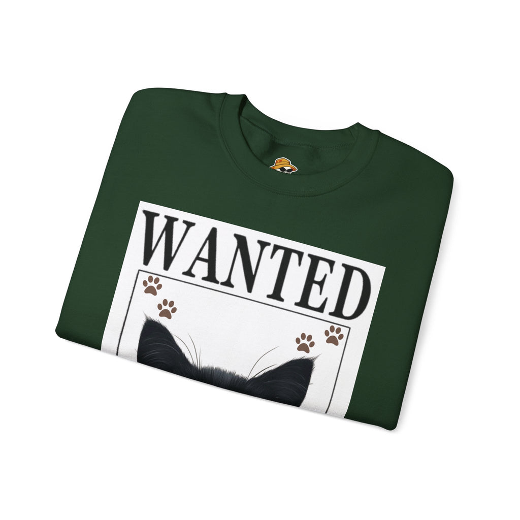 Punny Closet Unisex Crewneck Sweatshirt – Graphic Sweatshirt