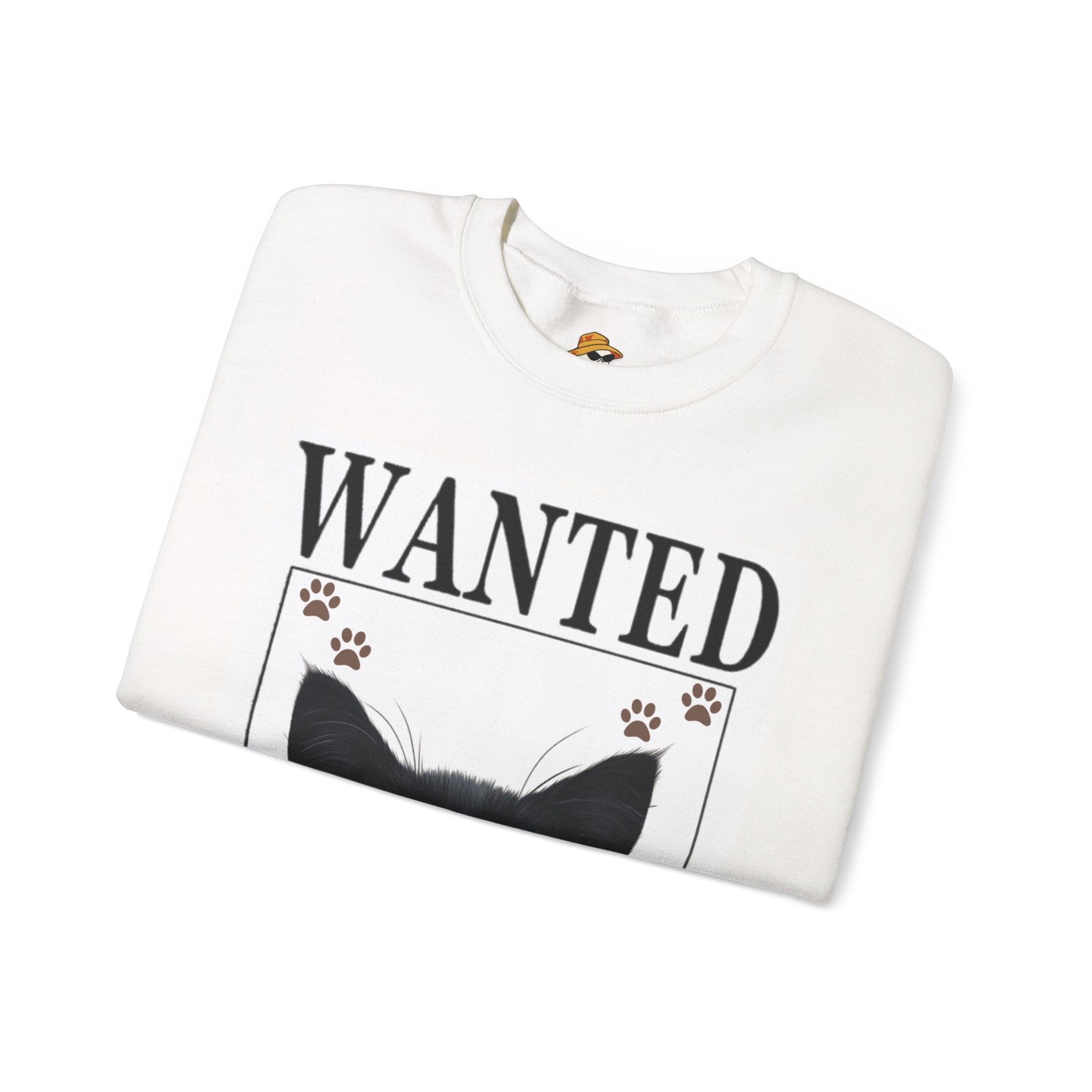Punny Closet Unisex Crewneck Sweatshirt – Graphic Sweatshirt